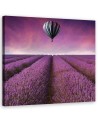 Lavender field landscape - Printed Canvas prints for living room | FEEBY