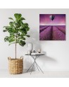 Lavender field landscape - Printed Canvas prints for living room | FEEBY