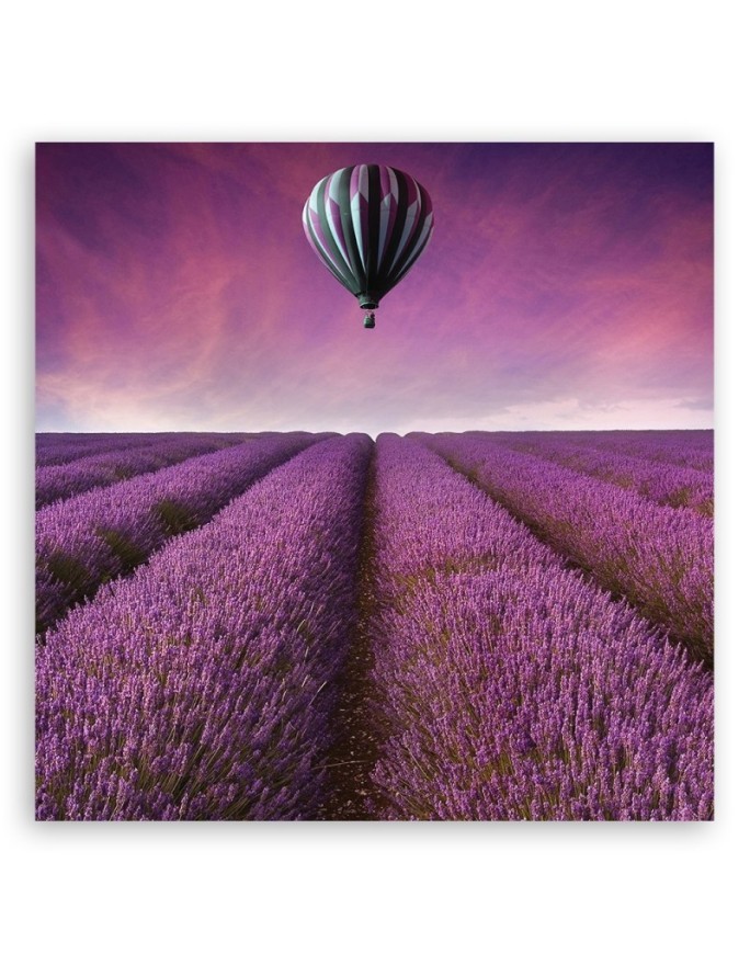 Lavender field landscape - Printed Canvas prints for living room | FEEBY