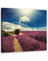 Country lavender field - Canvas prints for living room | FEEBY