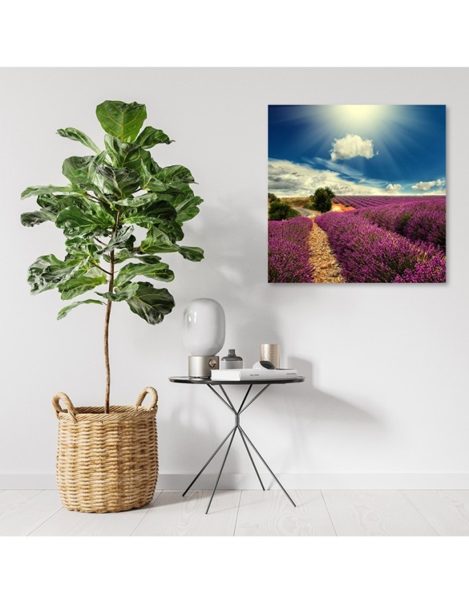 Country lavender field - Canvas prints for living room | FEEBY