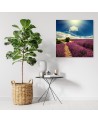 Country lavender field - Canvas prints for living room | FEEBY