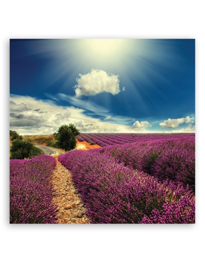 Country lavender field - Canvas prints for living room | FEEBY