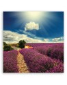 Country lavender field - Canvas prints for living room | FEEBY