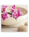 Pink orchids in a dish - Modern Canvas painting for the living room | FEEBY