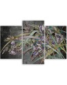 Pictures on Canvas for the bedroom - Irises flowers in the wind | FEEBY