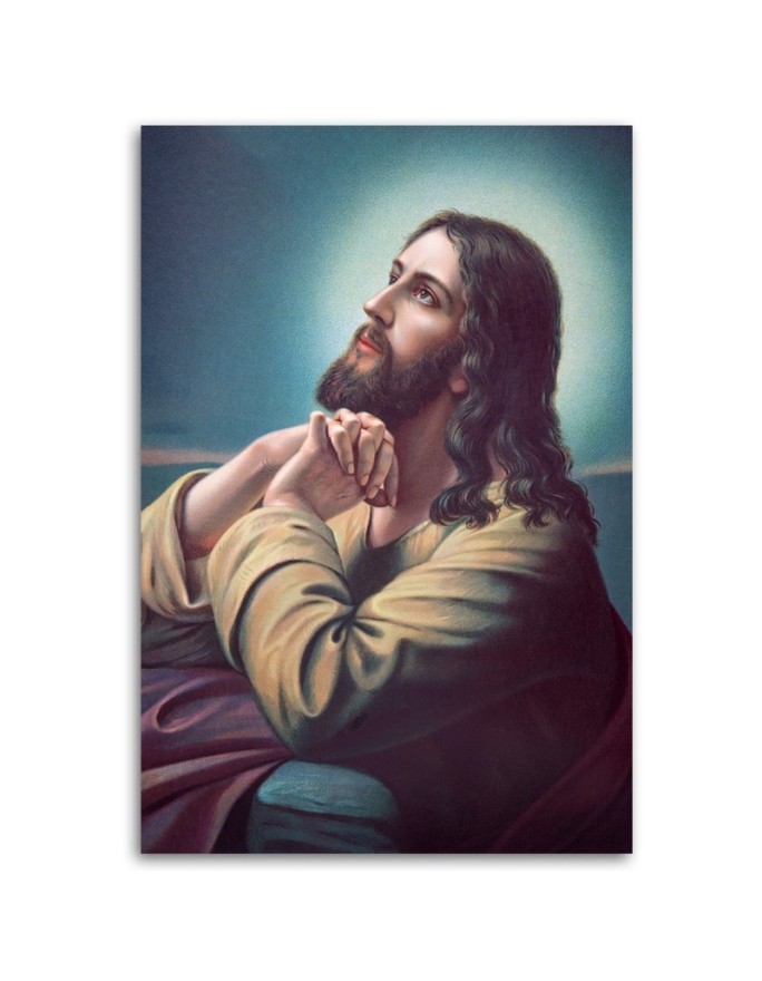 Jesus in the Garden of Olives - Artists' reproduction | FEEBY