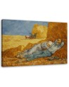 Reproductions of paintings - Siesta V. van Gogh | FEEBY