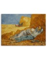 Reproductions of paintings - Siesta V. van Gogh | FEEBY