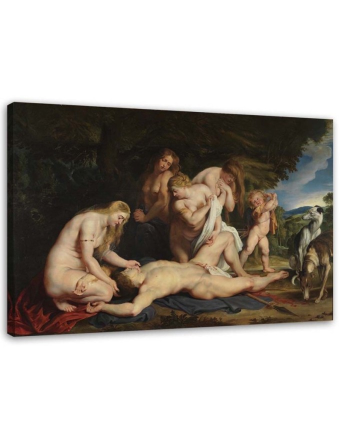 Death of Adonis P. P. Rubens - Artists' reproductions | FEEBY