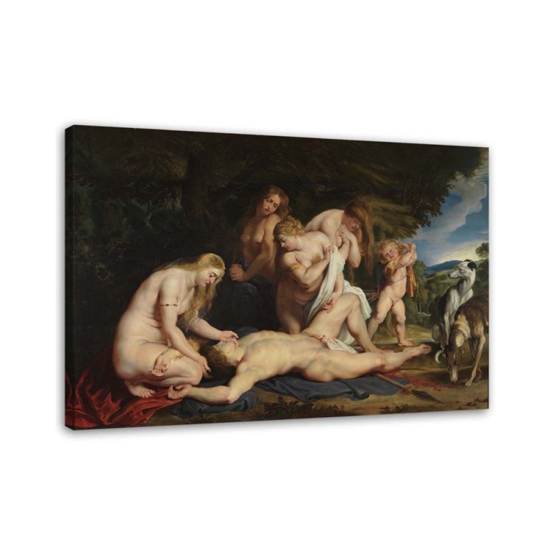 Death of Adonis P. P. Rubens - Artists' reproductions | FEEBY