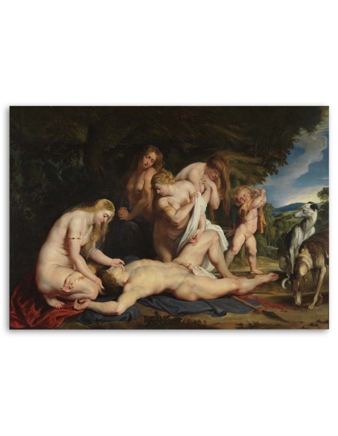 Death of Adonis P. P. Rubens - Artists' reproductions | FEEBY