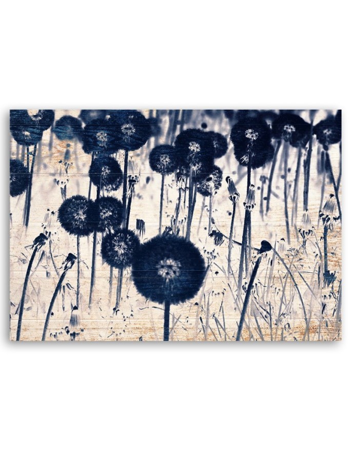 Dandelion on old boards - Canvas print | FEEBY