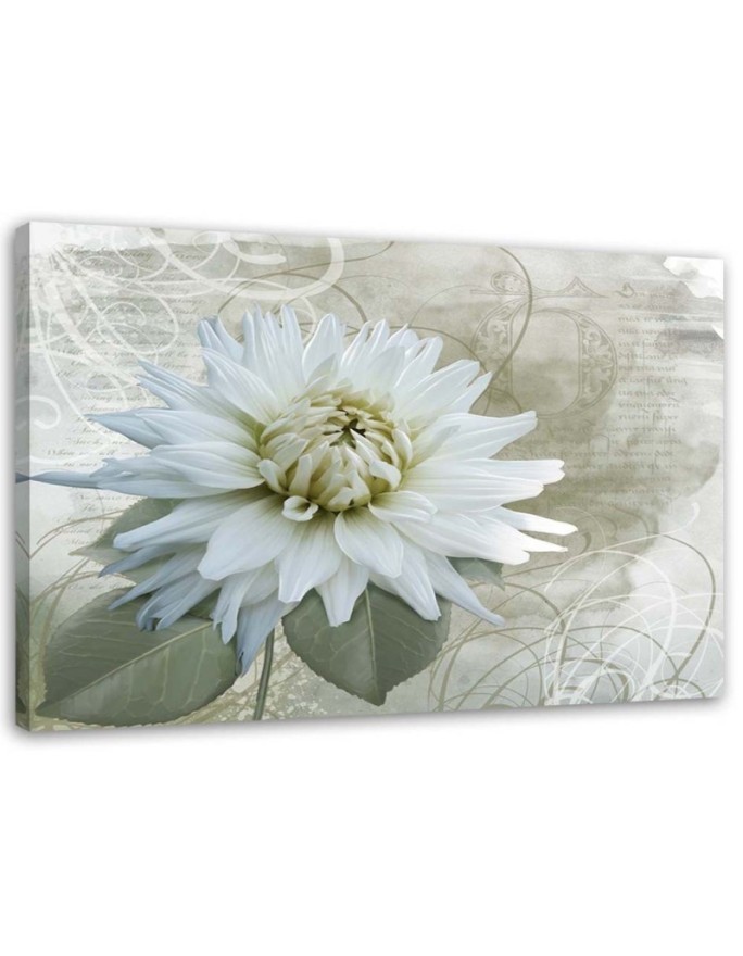 White vintage flower - Canvas print | FEEBY