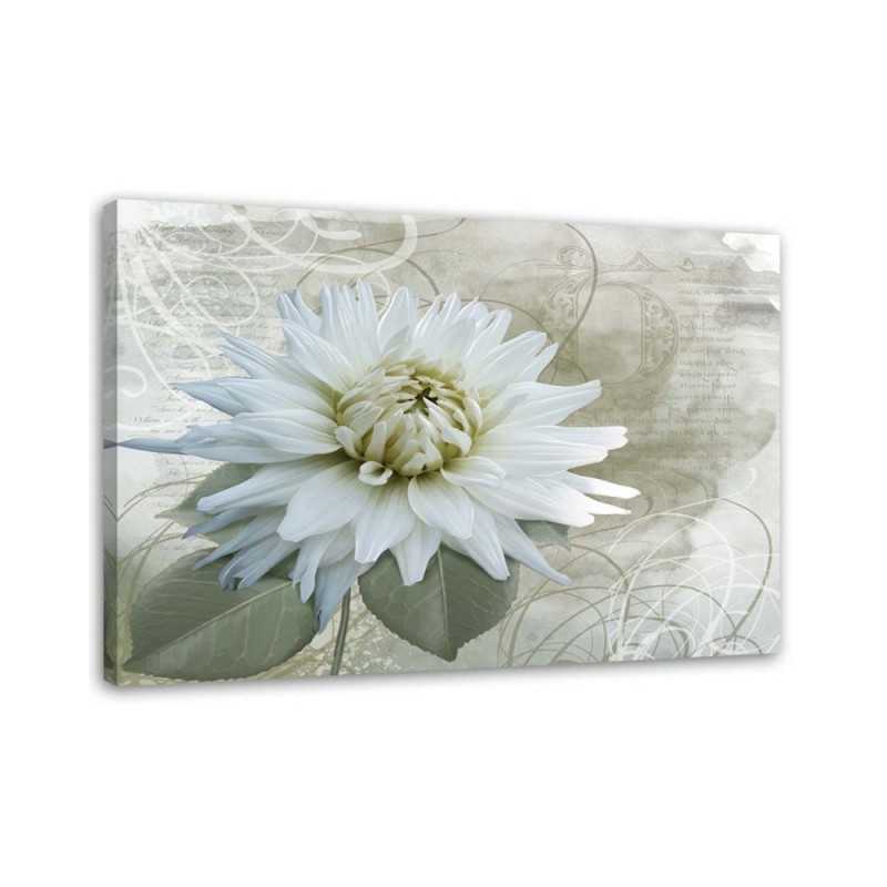 White vintage flower - Canvas print | FEEBY
