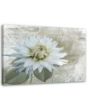 White vintage flower - Canvas print | FEEBY