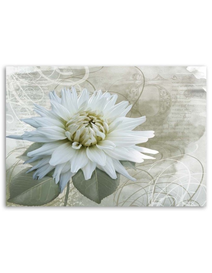 White vintage flower - Canvas print | FEEBY