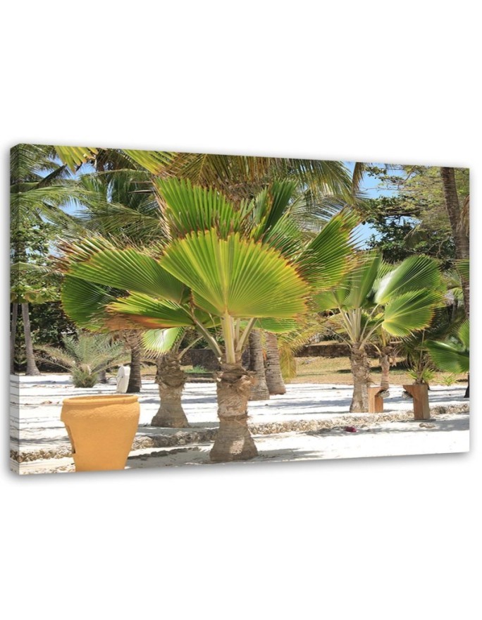 Tropical trees beach - Canvas prints for the living room | FEEBY