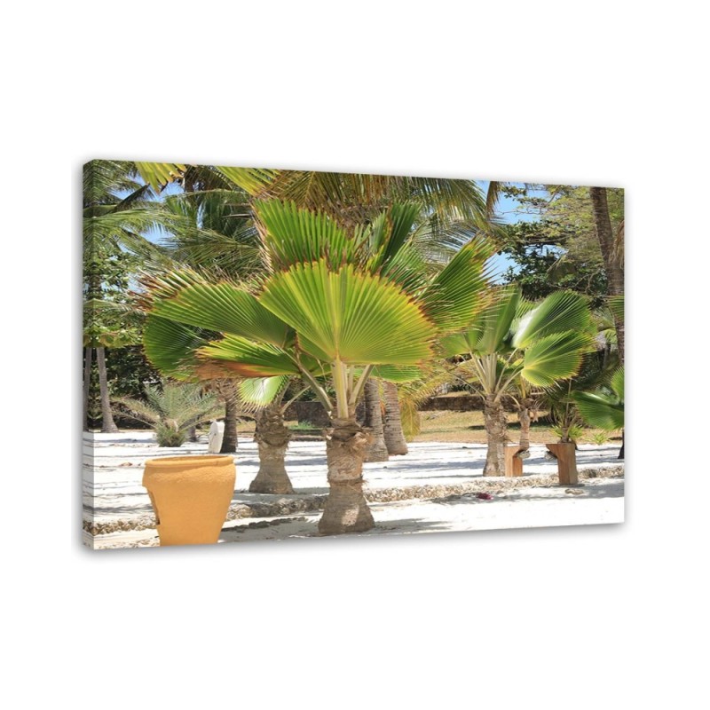 Tropical trees beach - Canvas prints for the living room | FEEBY