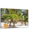 Tropical trees beach - Canvas prints for the living room | FEEBY
