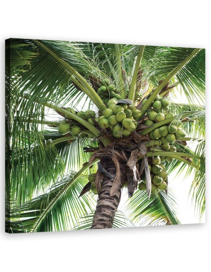 Coconut palm tree - Modern canvas painting | FEEBY