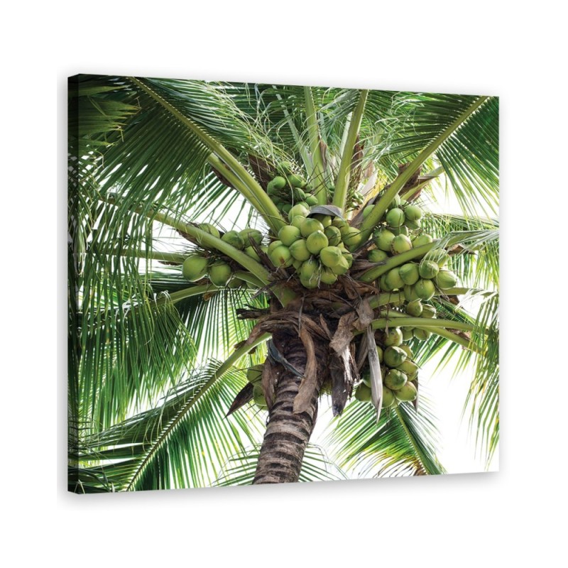 Coconut palm tree - Modern canvas painting | FEEBY