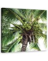 Coconut palm tree - Modern canvas painting | FEEBY