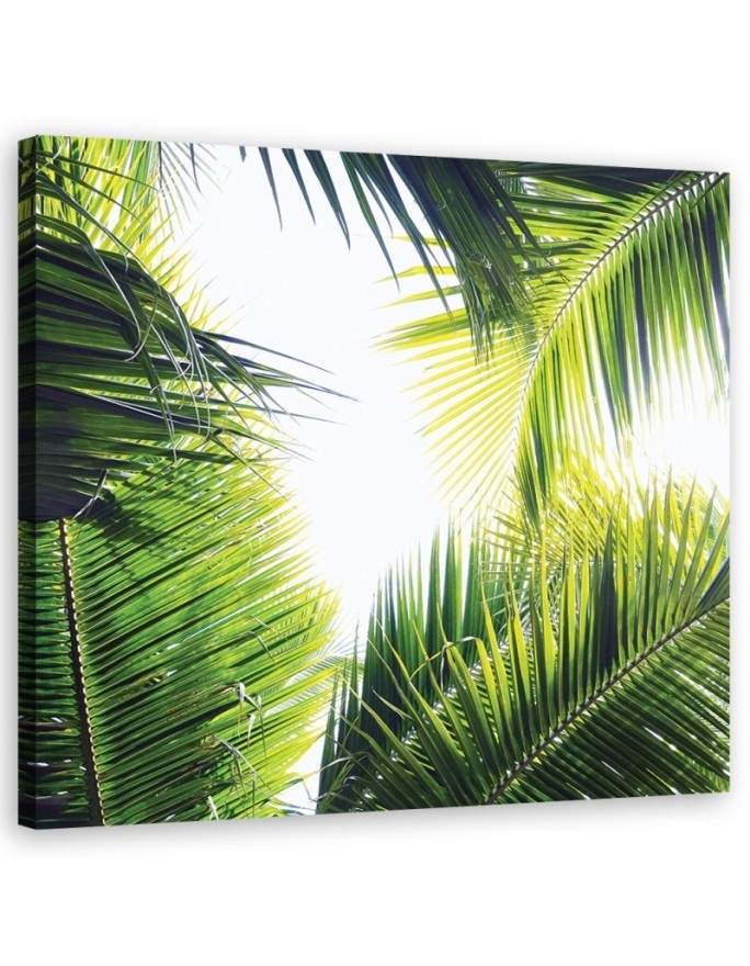 Palm leaves - Modern canvas painting | FEEBY