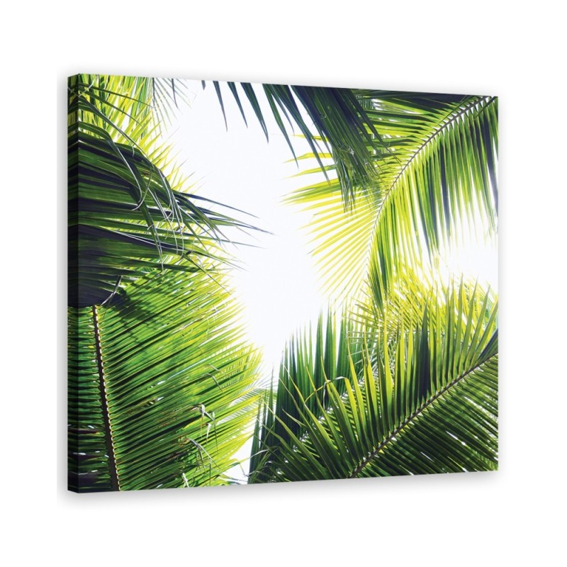 Palm leaves - Modern canvas painting | FEEBY