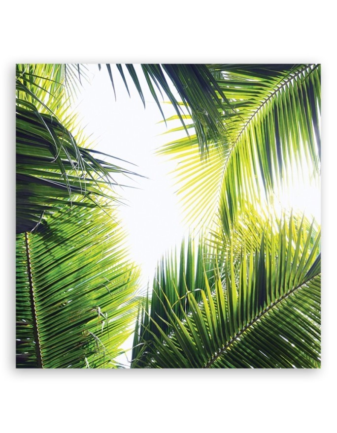 Palm leaves - Modern canvas painting | FEEBY