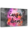 Carpe diem - Modern wall art Canvas painting | FEEBY
