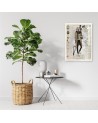 Canvas prints for living room canvas Dog article in newspaper | FEEBY