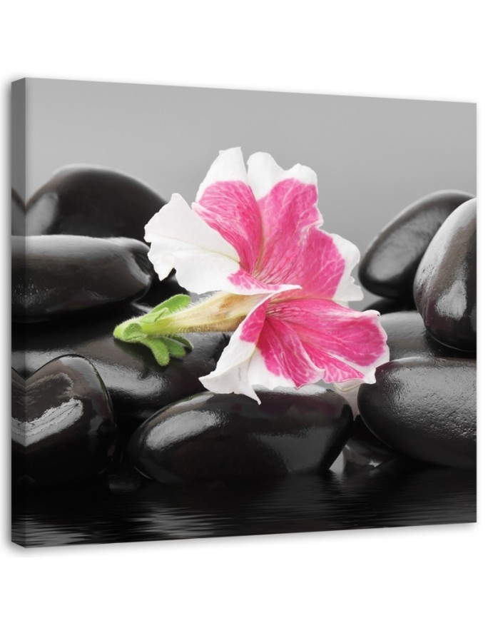 Pink flower on stones - Wall decoration for living room | FEEBY