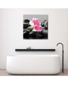Pink flower on stones - Wall decoration for living room | FEEBY