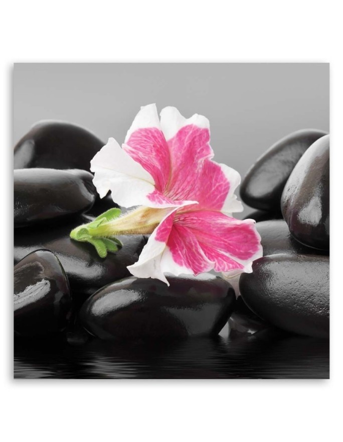 Pink flower on stones - Wall decoration for living room | FEEBY