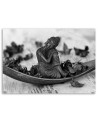 Canvas prints for bathroom Buddha and petals black and white | FEEBY