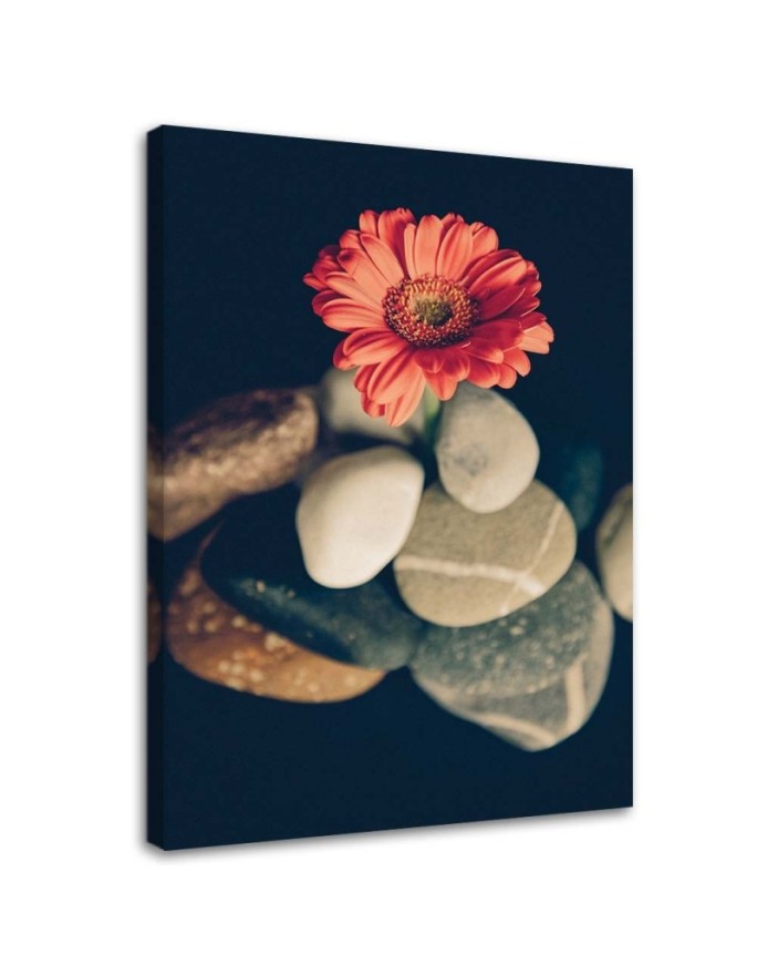 Canvas print Stones and red...