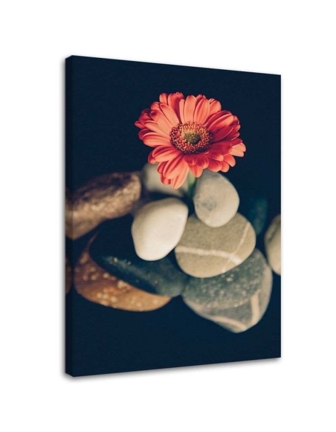Wall art painting for bathroom Stones and red flower | FEEBY