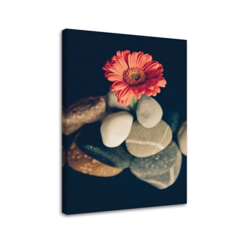 Wall art painting for bathroom Stones and red flower | FEEBY