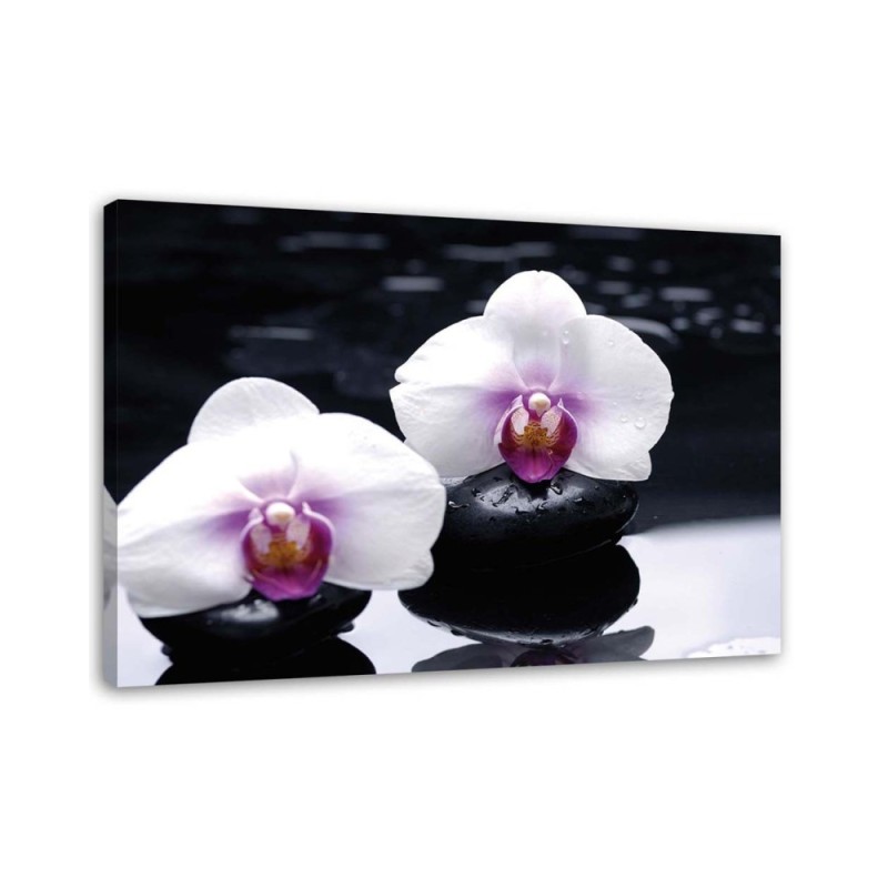 Wall painting for living room zen style orchid | FEEBY