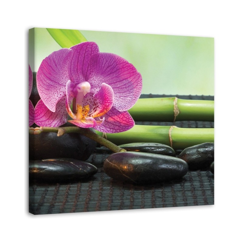 Pictures on Canvas for living room Flowering orchid on black stones | FEEBY