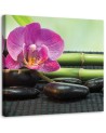Pictures on Canvas for living room Flowering orchid on black stones | FEEBY