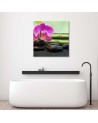 Pictures on Canvas for living room Flowering orchid on black stones | FEEBY