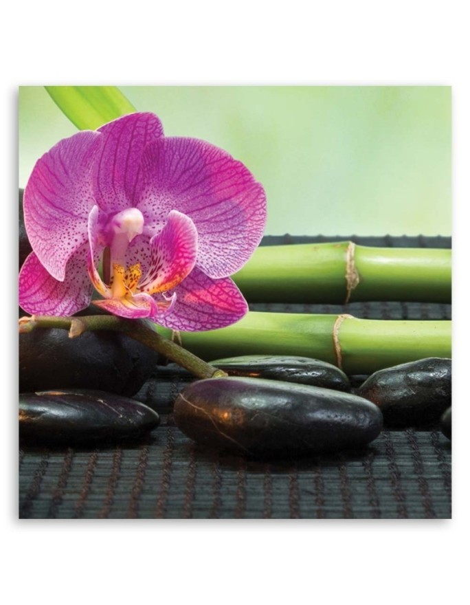 Pictures on Canvas for living room Flowering orchid on black stones | FEEBY