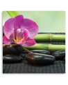 Pictures on Canvas for living room Flowering orchid on black stones | FEEBY