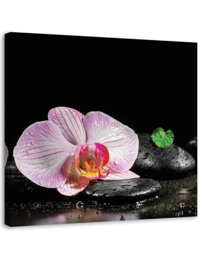Wall art painting for living room Flowering orchid zen | FEEBY