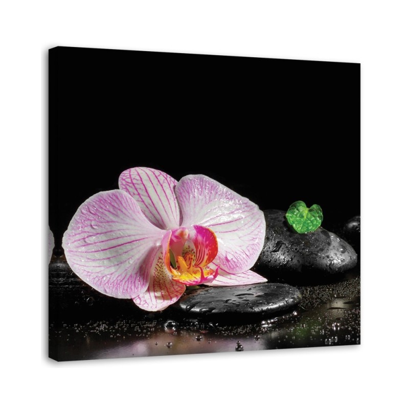 Wall art painting for living room Flowering orchid zen | FEEBY