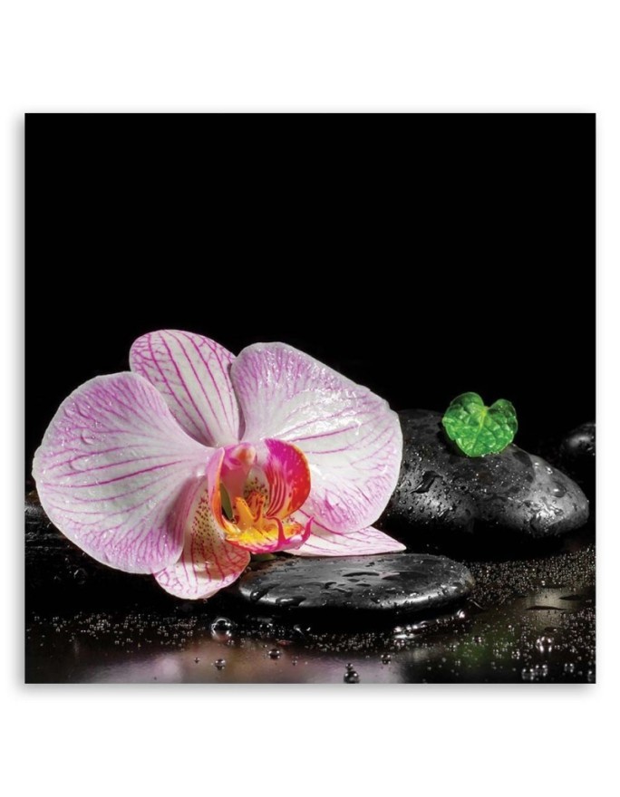 Wall art painting for living room Flowering orchid zen | FEEBY