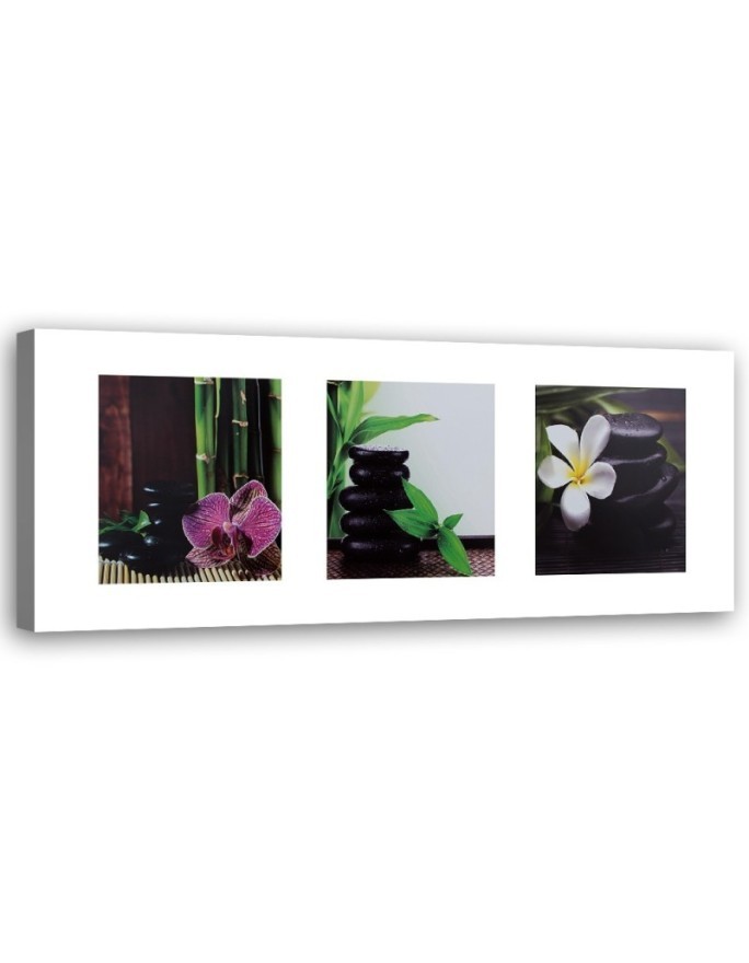 Wall art decoration Massage stones | FEEBY