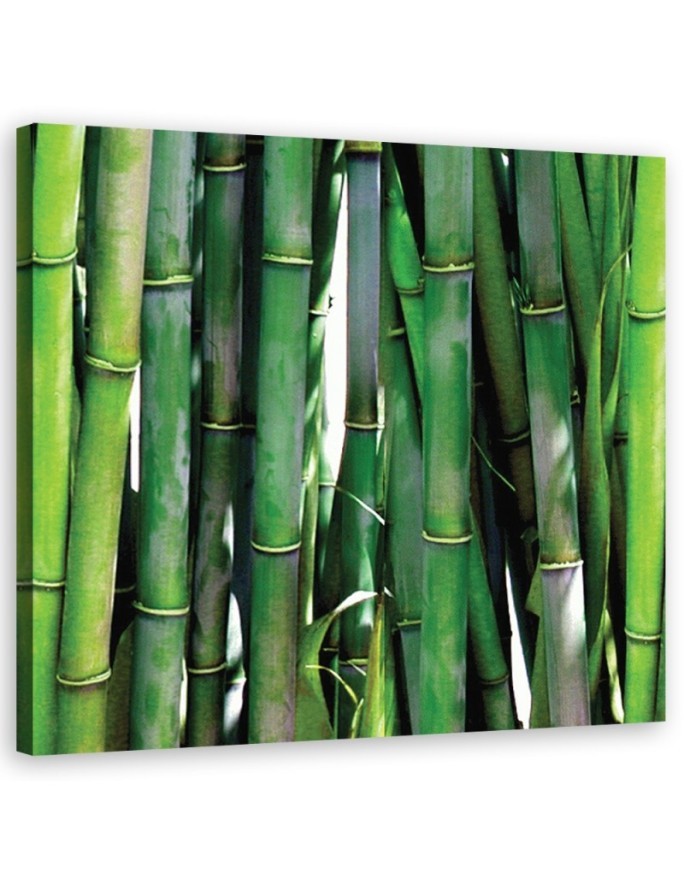 Green bamboo bathroom Canvas art prints | FEEBY